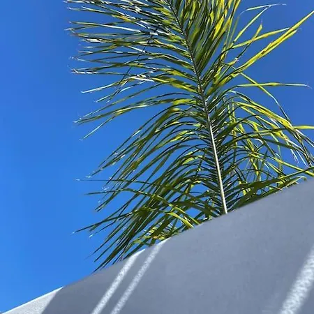 Casawolhao Liberdade Maison De Pecheur Avec Toit-terrasse Ольян