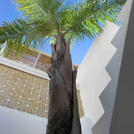 Сasa de vacaciones Casawolhao Liberdade Maison De Pecheur Avec Toit-terrasse *
