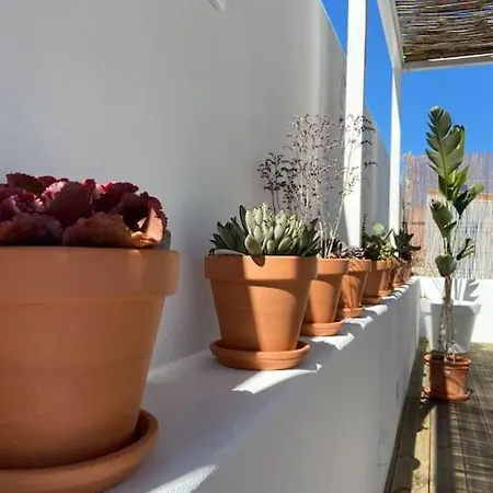 Casawolhao Liberdade Maison De Pecheur Avec Toit-terrasse